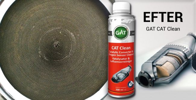 GAT CAT Clean